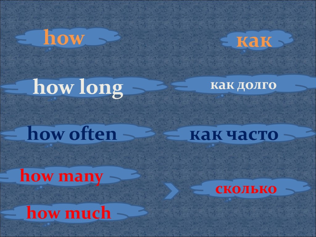 как how how many how often как часто how long как долго how much